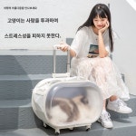 투명고양이이동장 강아지캐리어 애견카트 반려동물동반여행 이동가방 케이지 가방 산책 켄넬 : 황금알 상점