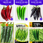 혼합 상추 씨앗 채소씨앗 야채씨앗 : 가람원