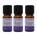 더허브스토리 에센셜오일, 라벤더, 12ml, 3개 : A 브랜드 멀티샵