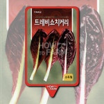 트레비쇼치커리 씨앗 종자1500립 : 하우투팜