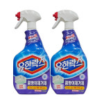 유한락스 곰팡이제거제 900mlx2개 : 왕대박마트