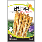 산천도라지 6000립 / 토종 도라지 씨앗 종자 텃밭키우기 채소키우기 : 초록스타