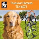 트루러브 하네스 (M/오렌지) : SaniYuni