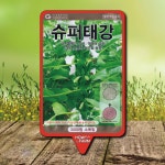 슈퍼태강 참깨씨앗 종자3000립 외대깨 소분지참깨 : 하우투팜