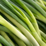 국내산 싱싱하고 개운한 직접선별 대파 특품 : 익산원예농협 농협이마켓