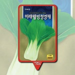 청경채 씨앗 종자2000립 : 하우투팜