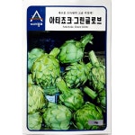 아티초크씨앗 그린글로브씨앗 아티쵸크종자 종자 종묘 씨 모종 10g E13WBDA92CM : 트리플도매