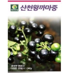 까마중씨앗 왕까마중종자 50립 용규열매 : 씨앗의모든것