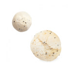 냉동 생지 깨찰빵 1.8kg (60g x 30개입) 찰깨빵 만들기 홈베이킹 검은깨 반죽 : 비푸드스토어