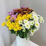 꽃한단 소국 세트 포드 금수 생화 택배 농장직송 꽃선물 꽃다발싼곳 온라인꽃배달 국화 졸업식 : 꽃 한단