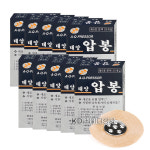 태양산업 압봉 은6호 30개입 x10통 금속돌기 요혈압박 수지침 붙이는 지압침 : 의료기장터