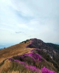 무박 창녕 화왕산 10월18일(일) : 산봉우리