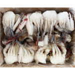 절단꽃게 450g (중국) 게장 꽃게탕 꽃게찜 : 먹는데 진심