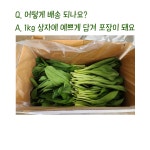 무농약 명이나물 장아찌 : 지구해 과일