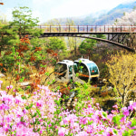 [경기] 광주 화담숲+여주 신륵사+ 명성황후 생가+용인 와우정사 당일여행 / 서울근교여행 / 서울경기出 : 파랑새투어