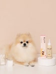 디어랩스 강아지 귀세정제 울애기뽀송 강아지 귀청소 귀염증약 100ml 1통 : 디어랩스 공식몰