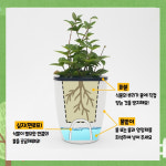 봄맞이화분 거실 인테리어 저면관수 자동 물주기 플라스틱 물 흡수 화분 : 데이데이온데이