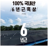 흑삼효능 금산 흑삼 차 : 지게꾼스토어