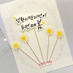 봄 감성 나들이 피크닉 소풍 토퍼 커플 가족 소품 : 오월의 메이