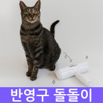반영구 돌돌이 반려동물 강아지 고양이 털 제거 : 세일스탕스
