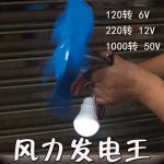 12V 직류 고출력 스몰사이즈 미니펫 풍력발전 외구 6V 24V50V : HM.에이치엠글로벌