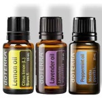 도테라 에센셜 키트 3종 세트 아로마 오일 (라벤더 레몬 민트 각 5ml) : 앨앨컴퍼니