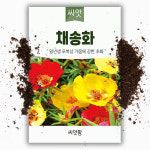 야생화 꽃씨 채송화 씨앗 5000립 쇠비름과 한해살이 일년생 : 씨앗팜