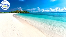 발리 응우라라이 공항픽업 샌딩 택시 렌트카 (네이버톡 견적) : 시드블루