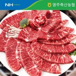 영주한우 등심 채끝 안심 살치살 부채살 업진살 갈비살 중 선택 / 구이용 소고기 차돌박이 한우등심 : 영주한우몰