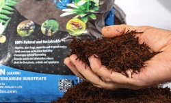 트리펀 fernwood 트리펀 배양제 대용량 10L 바닥재 Treefern 벽면재 비바리움 테라리움 팔루다리움 멀칭 분갈이흙 : 비바리움코리아