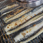 가보몰 더풍천장어 국산 풍천 민물장어 1kg 손질/초벌 지수식양식 : 가보-가보몰