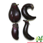가지 5Kg (보통) : 사라상회