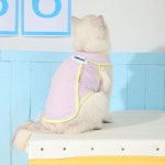 강아지 쿨링티 여름옷 나시 패션용품 애견용품 A타입 XS 가슴둘레 31cm : 동글동글컴퍼니