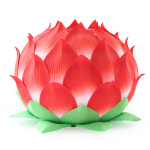 바림등 6호(50개 1박스) 색상선택 불교연등 초파일연등 보카시 법당등 : 비비제이스토어