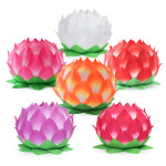 바림등 6호(50개 1박스) 색상선택 불교연등 초파일연등 보카시 법당등 : 비비제이스토어