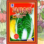 파워춘광 봄배추씨앗 2000립 사카타코리아 : 삼대씨앗