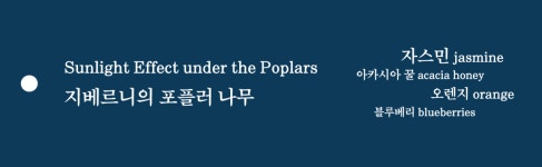 당일로스팅 드립백 Monet 2 지베르니의 포플러 나무 13g x 8개입 : 모네 로스팅 하우스