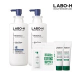 라보에이치 샴푸 두피강화 노세범 400ml 2개 : 팔레스티몰