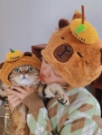 애완 동물 모자 HC 헤드셋 카피에피와이죽수니 장식 귀여운 고양이 : A7코끼리글로벌