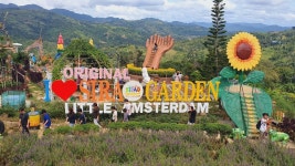 세부 시티투어 택시투어 렌트카 단독 자유여행 패키지 : 투어스타