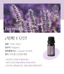 천연 에센셜오일 유기농 라벤더 오일 허브 숙면 10ml 아로마 테라피 등급 원액 수면오일 : 대구아로마테라피 알몽드