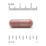 CGN 락토비프 유산균 250억 크랜베리 30정 2개 : 헬씨윤