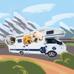 서울경기 제우스640 2023년형 경유 5인승 종합보험포함 평일 : 주식회사 캠성