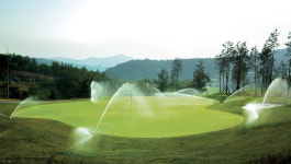 경남 사천골프장 패키지 타니cc 1박2일 : 자이언트 골프여행