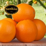 썬키스트 프리미엄 고당도 오렌지 퓨어 : 행그리LIVE