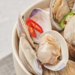 살아있는 백생합 2kg 해감완료 오씨수산 조개찜재료 : 명품유통 오씨수산