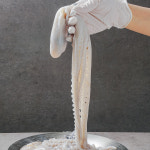 매콤 낙지볶음 간편 밀키트 2인분 700g 캠핑 술안주 매운 양념 조방할매낙지 : 김씨언니마켓