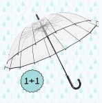 투명 장우산 1+1 튼튼한 자동 비닐 고급우산 : 미그머스토어