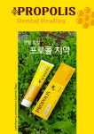덴탈 힐링 프로폴 치약 150g : 제이에스글로벌 유통