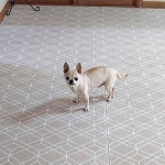 층간소음 저감 아파트 방지 신생아 거실 바닥 2개 매트 : 수쟈니아